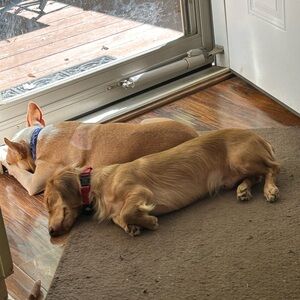 Meet your Posher, Cindy